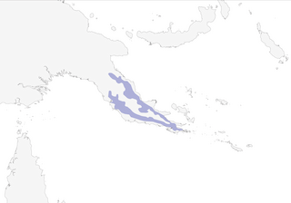 Distribution of the Brown-headed Paradise-Kingfisher - Range Map