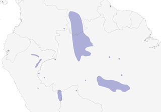 Distribution of the Brown-banded Puffbird - Range Map