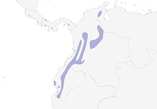 Distribution of the Crimson-rumped Toucanet - Range Map