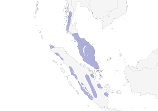 Distribution of the Sooty Barbet - Range Map
