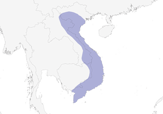 Distribution of the Red-vented Barbet - Range Map