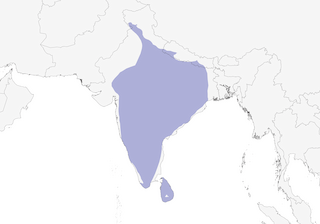 Distribution of the Brown-headed Barbet - Range Map