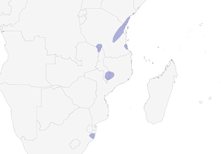 Distribution of the Green Barbet - Range Map