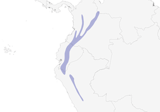 Distribution of the Powerful Woodpecker - Range Map