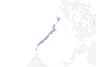 Distribution of the Spot-throated Flameback - Range Map