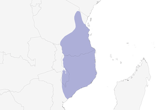 Distribution of the Speckle-throated Woodpecker - Range Map