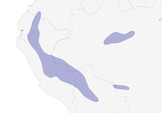 Distribution of the White-throated Woodpecker - Range Map