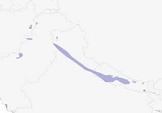 Distribution of the Brown-fronted Woodpecker - Range Map