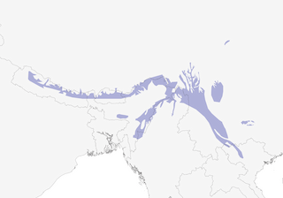 Distribution of the Darjeeling Woodpecker - Range Map