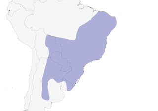 Distribution of the Red-legged Seriema - Range Map