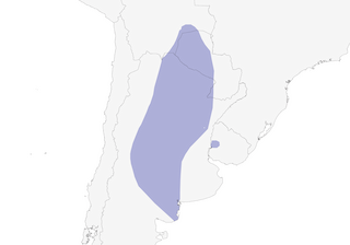 Distribution of the Spot-winged Falconet - Range Map