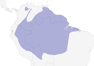 Distribution of the Black Caracara - Range Map
