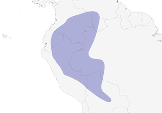 Distribution of the Cobalt-winged Parakeet - Range Map