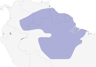 Distribution of the Red-fan Parrot - Range Map