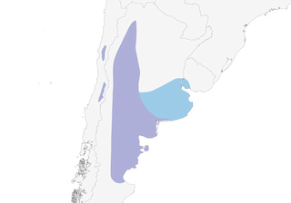Distribution of the Burrowing Parakeet - Range Map