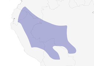 Distribution of the Dusky-headed Parakeet - Range Map