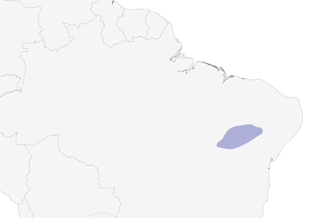 Distribution of the Spix's Macaw - Spix's Macaw - 