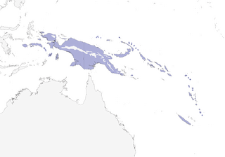 Distribution of the Rainbow Lorikeet (Coconut) - Range Map