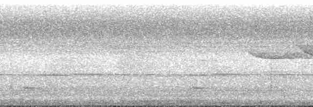 Bushy-crested Hornbill - ML169677