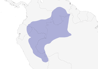Distribution of the Scientific Name: Epinecrophylla haematonota - Range Map