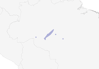 Distribution of the Rondonia Bushbird - Range Map