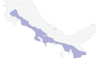 Distribution of the Black-hooded Antshrike - Range Map