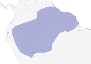 Distribution of the Mouse-colored Antshrike - Range Map