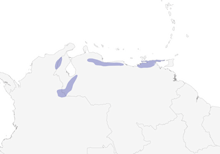 Distribution of the Klages's Antbird - Range Map