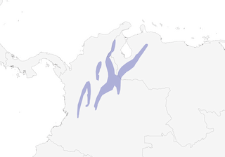 Distribution of the Blue-lored Antbird - Range Map