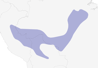 Distribution of the Amazonian Antpitta - Range Map