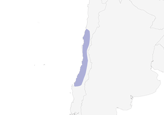 Distribution of the Moustached Turca - Range Map