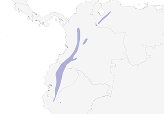 Distribution of the Ocellated Tapaculo - Range Map