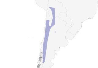 Distribution of the Rufous-banded Miner - Range Map