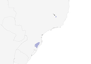 Distribution of the Long-tailed Cinclodes - Range Map