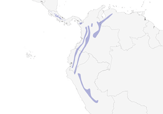 Distribution of the Lineated Foliage-gleaner - Range Map