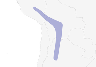 Distribution of the Streak-fronted Thornbird - Range Map
