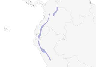 Distribution of the Many-striped Canastero - Range Map