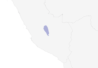 Distribution of the Vilcabamba Thistletail - Range Map