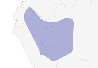 Distribution of the Orange-fronted Plushcrown - Range Map