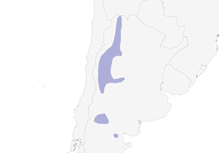 Distribution of the Steinbach's Canastero - Range Map