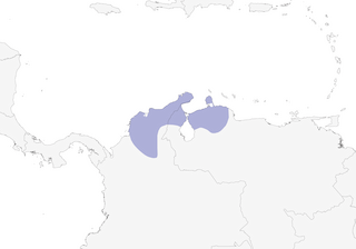 Distribution of the White-whiskered Spinetail - Range Map