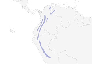 Distribution of the Rufous Spinetail - Range Map