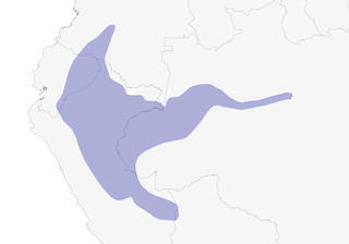 Distribution of the Dark-breasted Spinetail - Range Map