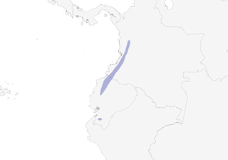 Distribution of the Club-winged Manakin - Range Map