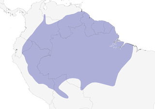 Distribution of the Spangled Cotinga - Range Map