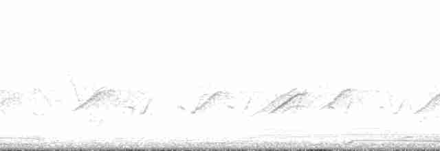 Vireo Ojiblanco (grupo griseus) - ML169699
