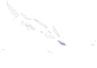 Distribution of the Makira Honeyeater - Range Map