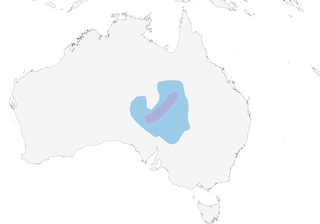 Distribution of the Gibberbird - Range Map