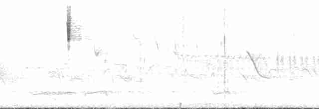 bjørkeparula (ridgwayi) - ML169703
