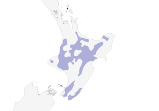 Distribution of the Whitehead - Range Map